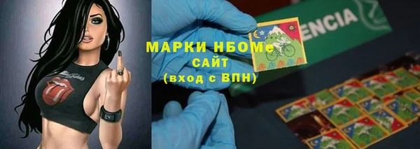 сатива Богородицк