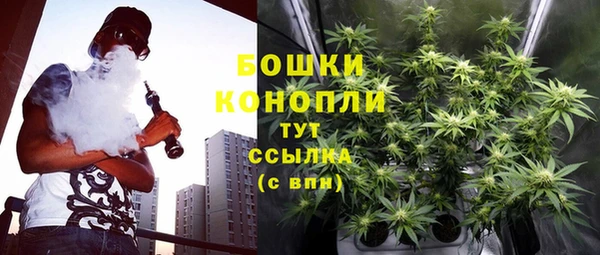 2c-b Богданович
