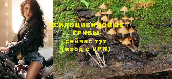сатива Богородицк