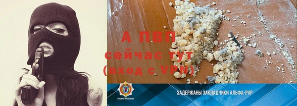 сатива Богородицк