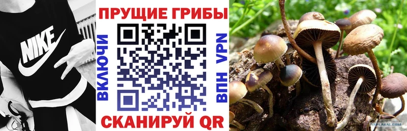 Псилоцибиновые грибы GOLDEN TEACHER  это клад  Комсомольск-на-Амуре 